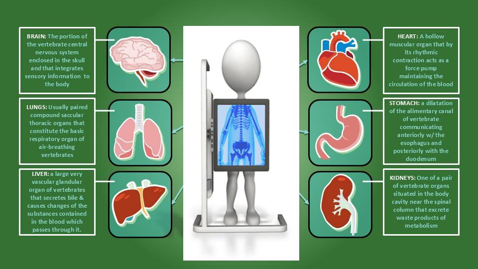 Karoona CIOS in Robotic Surgery