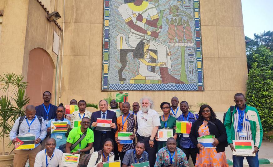 Cairo Cottone Research Institute Capacity Building Programme 2024